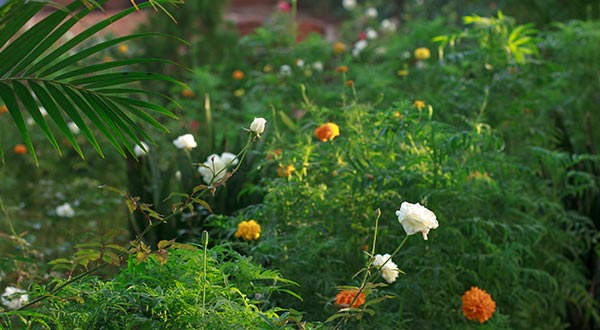 Gujarat Bhavan Hotel Matheran